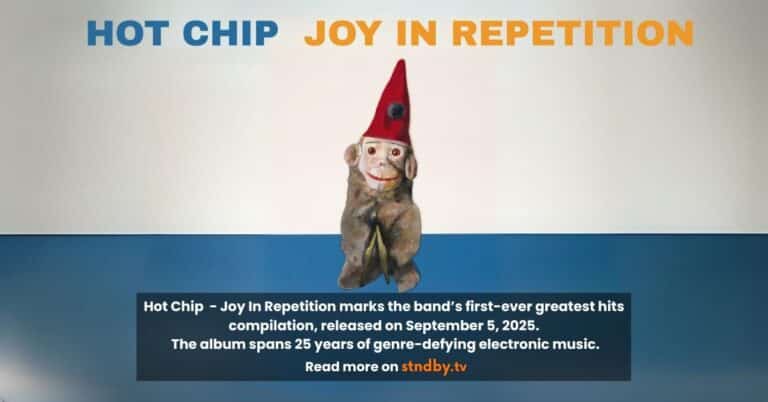 Hot chip Joy IN Repetition